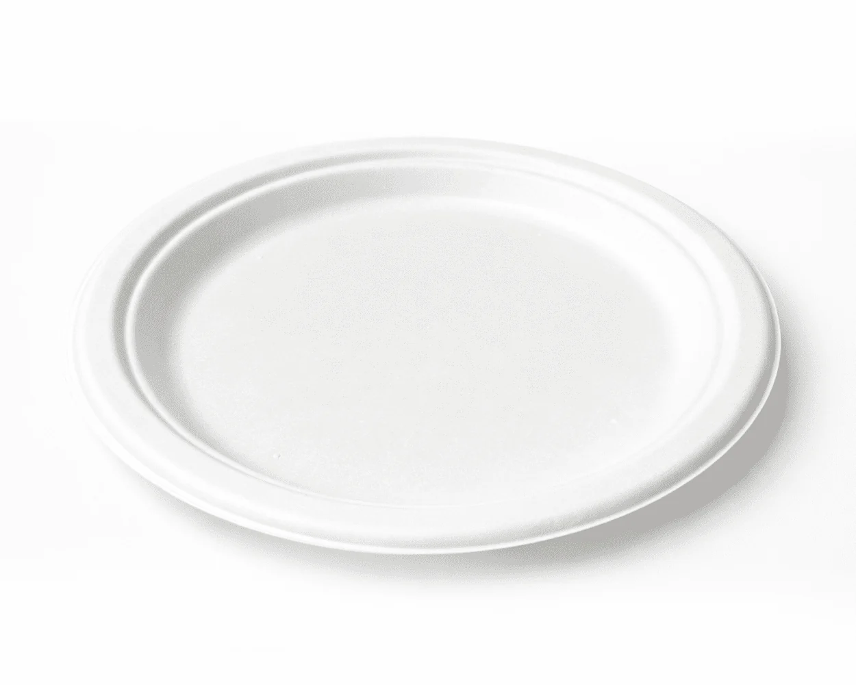 Assiettes robustes biodégradables & compostables - 9 pouces - Image 3
