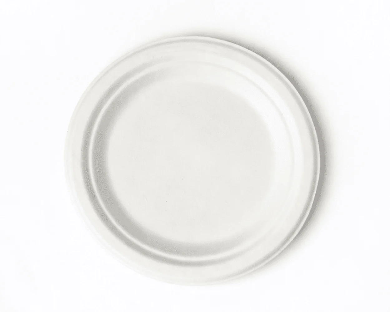 Assiettes robustes biodégradables & compostables - 7 pouces
