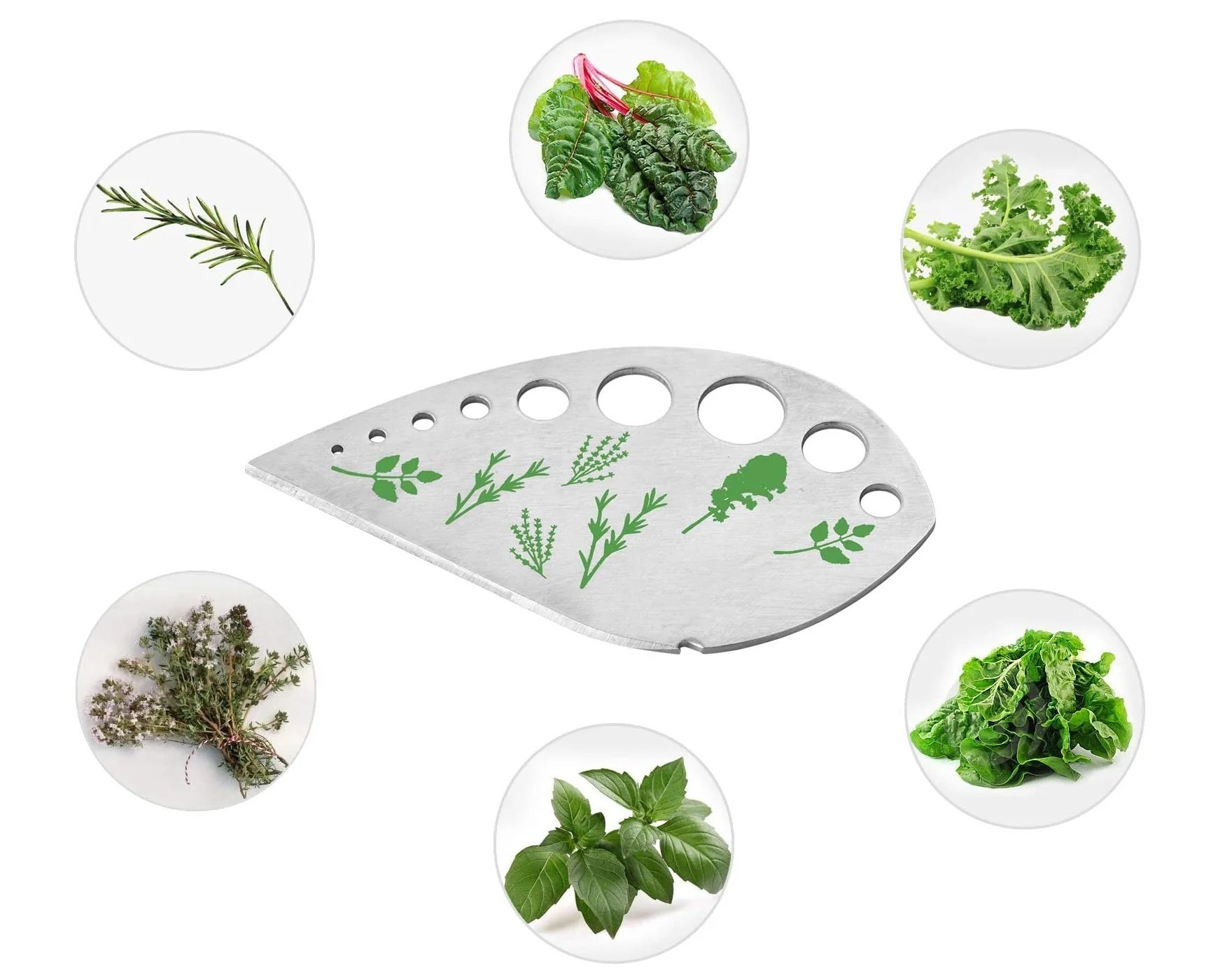 Outil « 2 en 1 » pour dénuder et couper les feuilles ou herbes - Image 7
